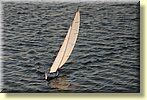 CR-914 sailing