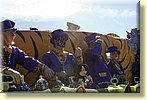 Geaux Tigers