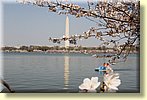 Washington Monument