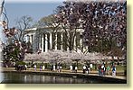 Jefferson Memorial