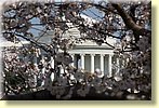 Jefferson Memorial