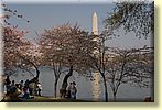 Monument, trees and people