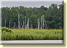 Gibson Island masts